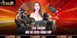 Live casino nơi cá cược đẳng cấp