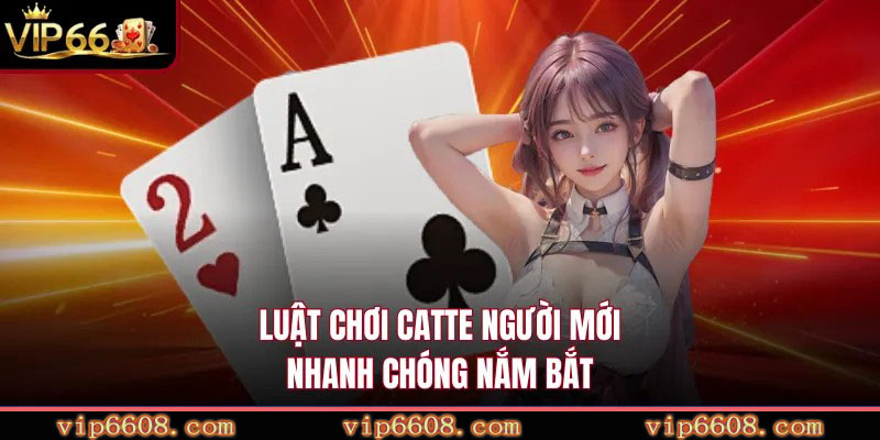 Luật chơi Catte người mới nhanh chóng nắm bắt