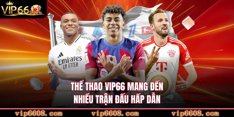 Thể thao VIP66 mang đến nhiều trận đấu hấp dẫn