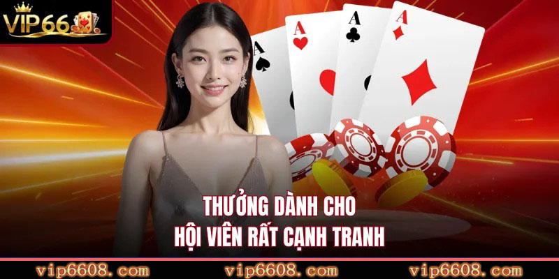 Thưởng dành cho hội viên rất cạnh tranh