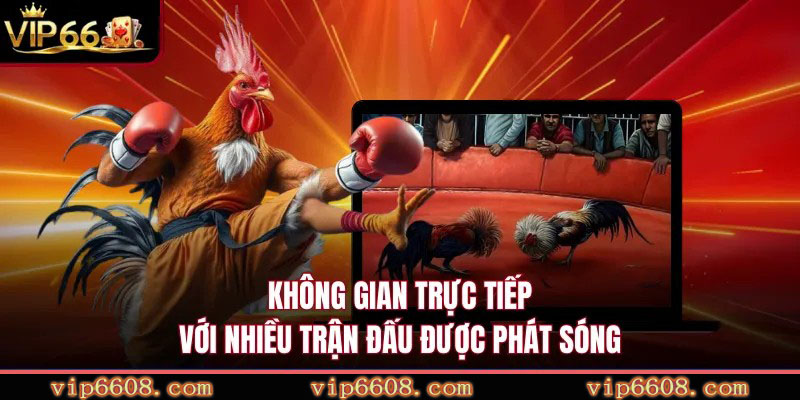 Không gian trực tiếp với nhiều trận đấu được phát sóng