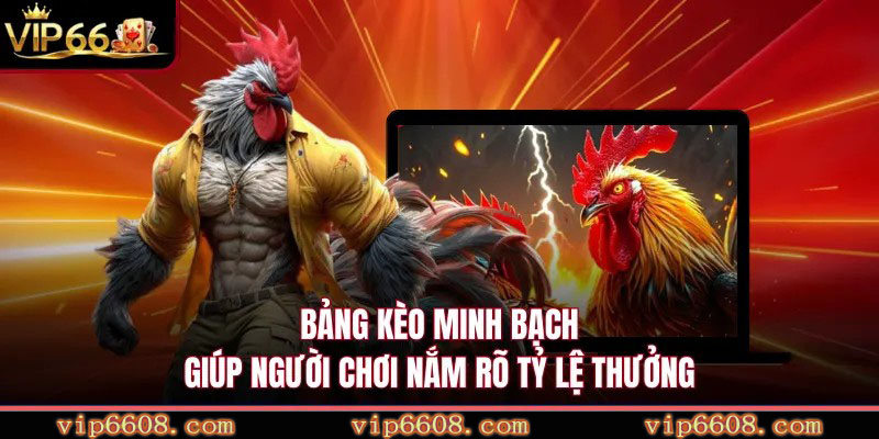 Bảng kèo minh bạch giúp người chơi nắm rõ tỷ lệ thưởng