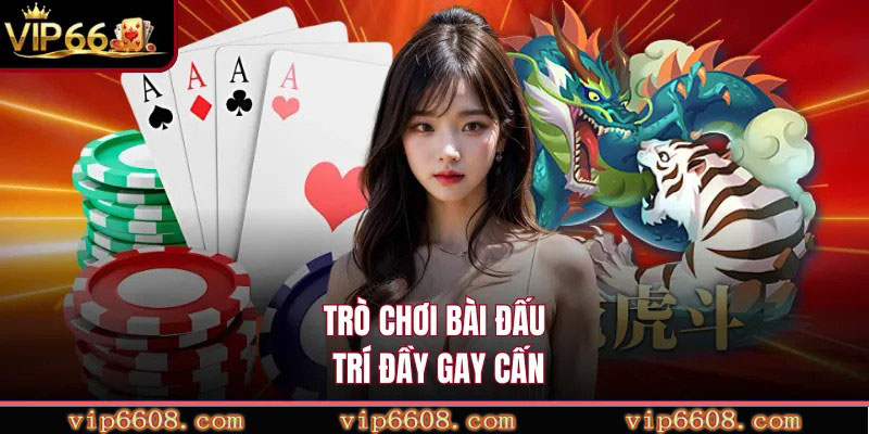 Trò chơi bài đấu trí đầy gay cấn