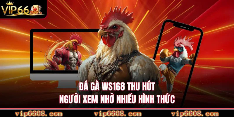 Đá gà WS168 thu hút người xem nhờ nhiều hình thức