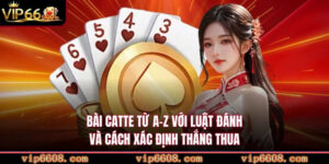 Bài Catte