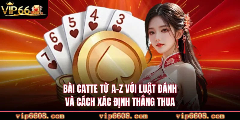 Bài Catte