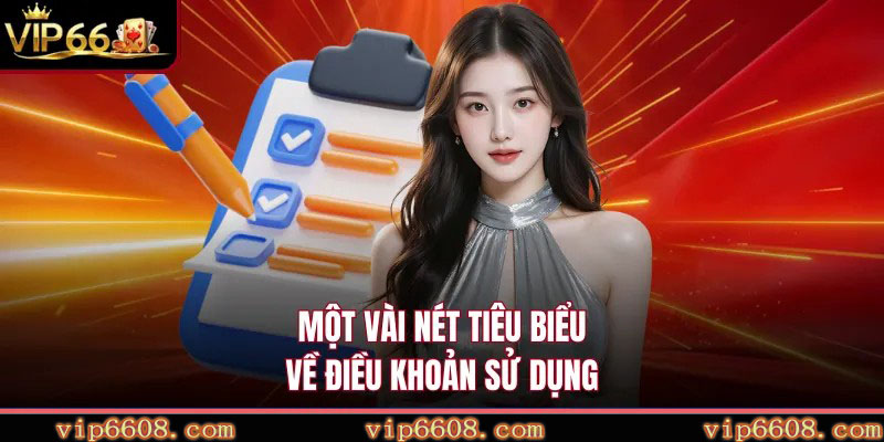 Một vài nét tiêu biểu về điều khoản sử dụng