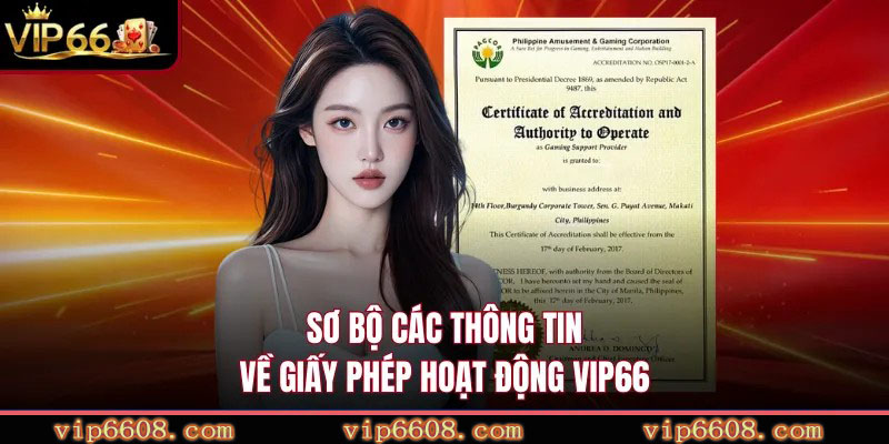 Sơ bộ các thông tin về giấy phép hoạt động VIP66
