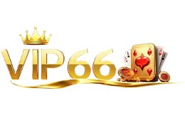 vip66logo